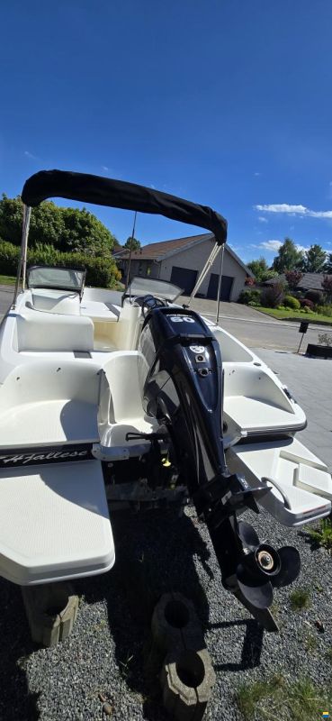 Bayliner Element e5