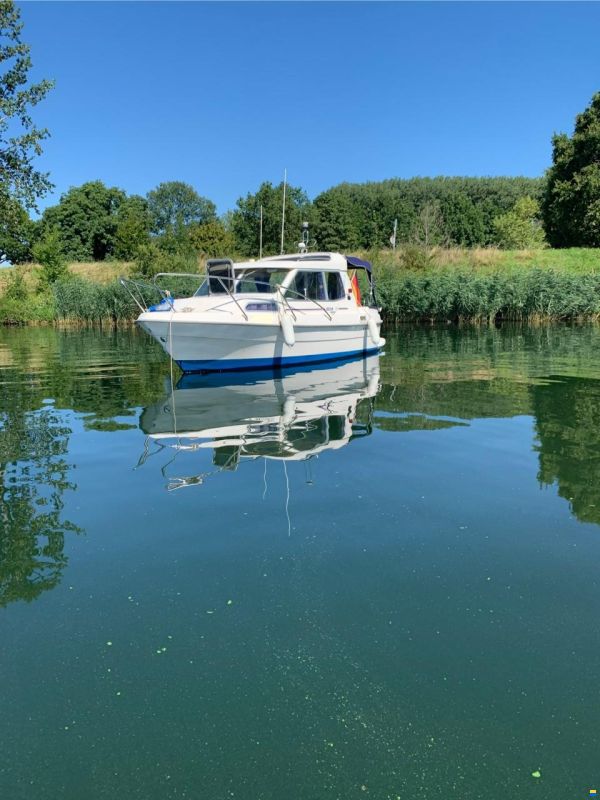 Bella 703
