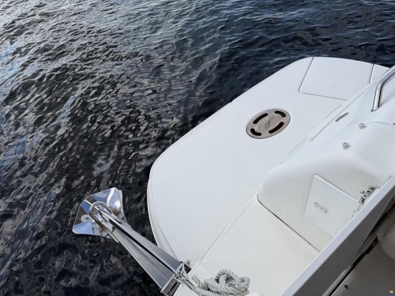 Sea Ray Sundancer 280/315