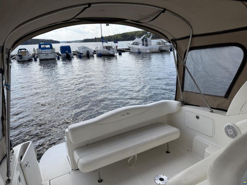 Sea Ray Sundancer 280/315