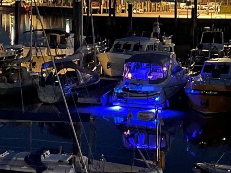 Sealine S38 "Open"