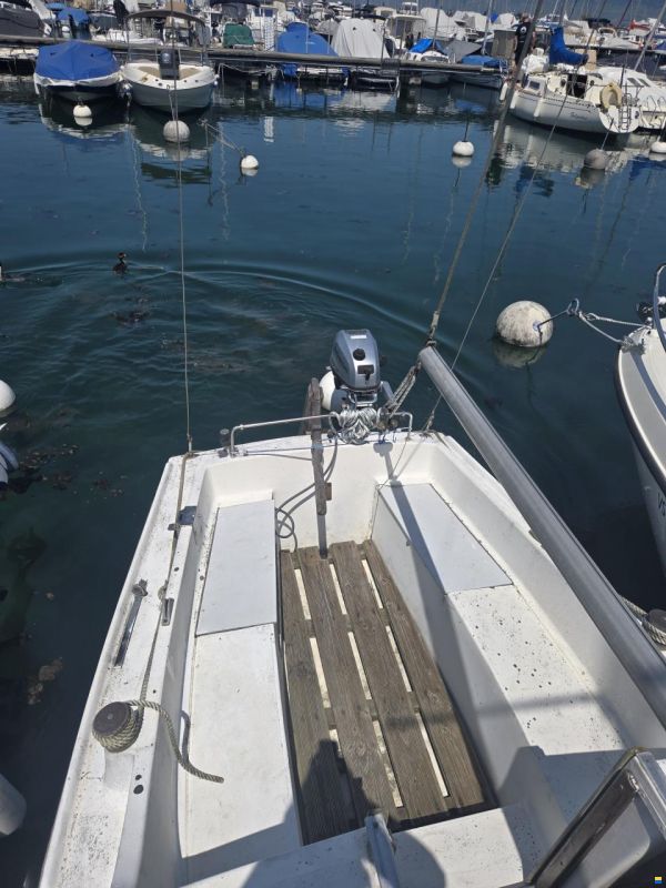 Russel Marine Vivacity 20