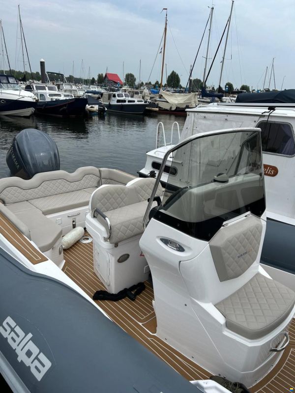 Salpa 26