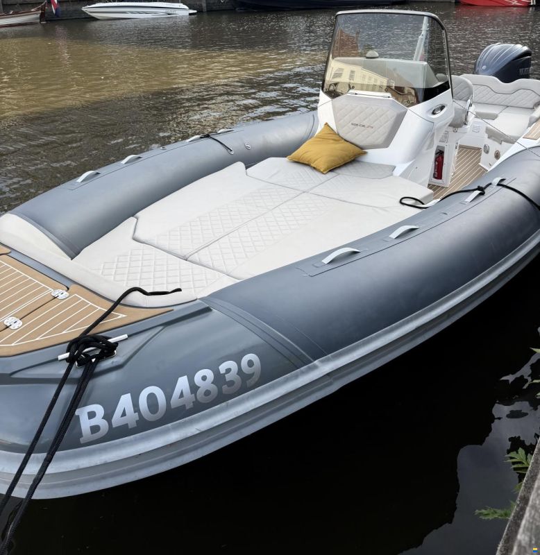 Salpa 26