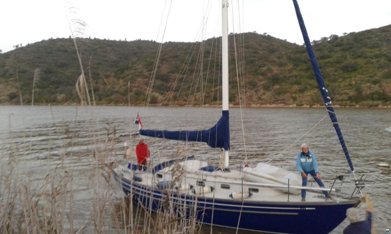 Mason 33' Sloop