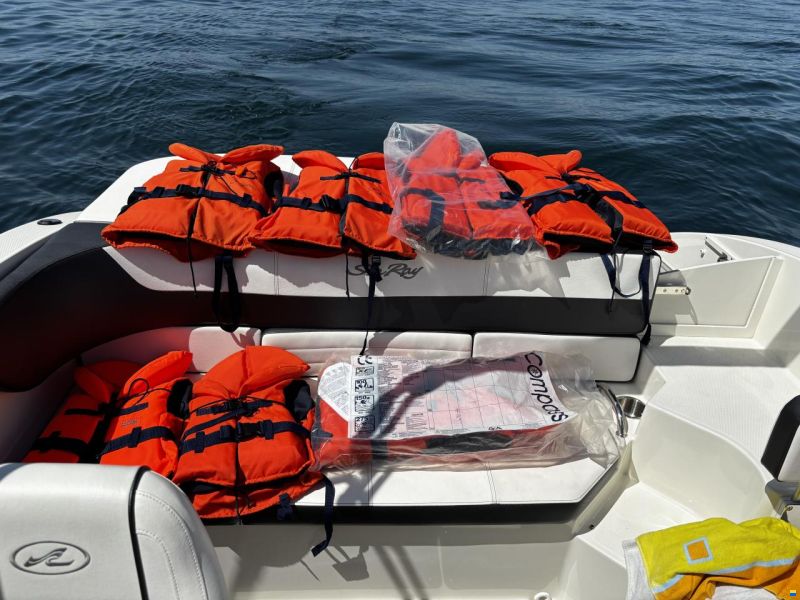 Sea Ray 19 SPXE