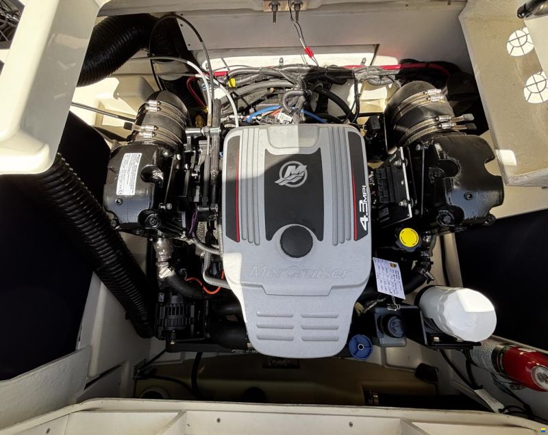 Sea Ray 19 SPXE