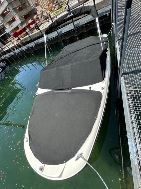 Sea Ray 19 SPXE