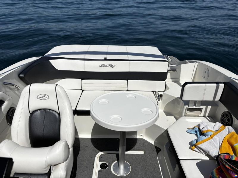 Sea Ray 19 SPXE