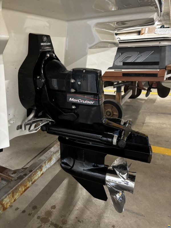 Sea Ray 19 SPXE