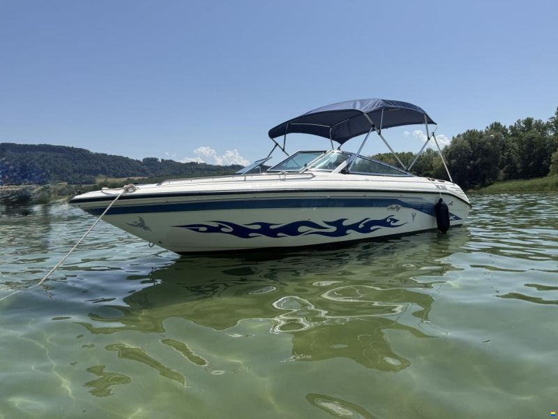 Sea Ray 200BR