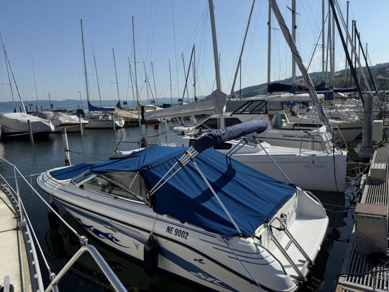 Sea Ray 200BR