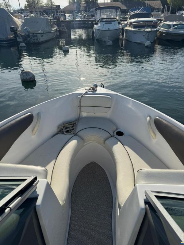 Rinker 186