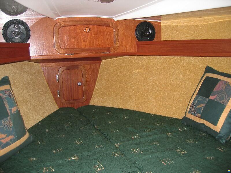 Pegaz 737