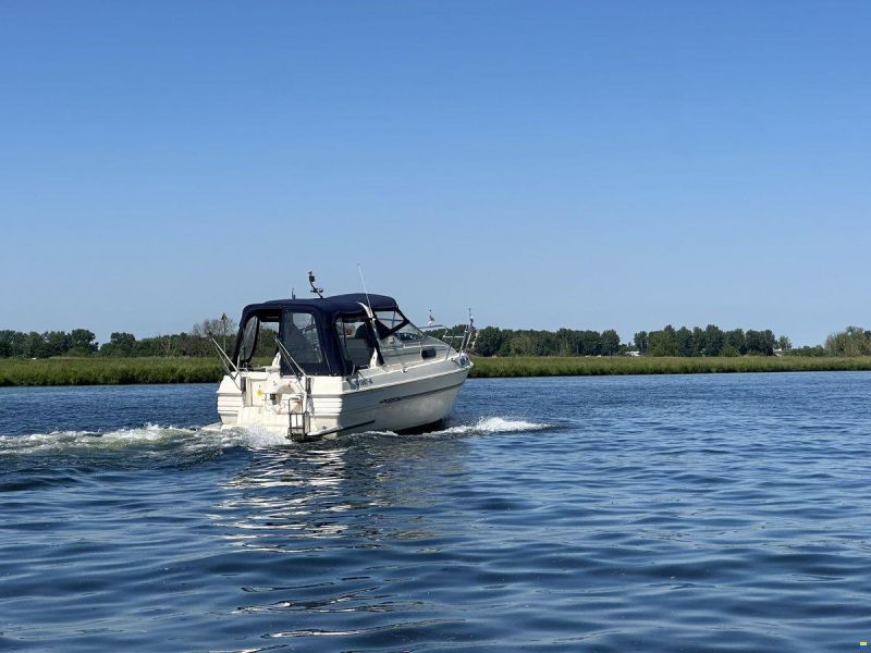 Sealine 255 Family