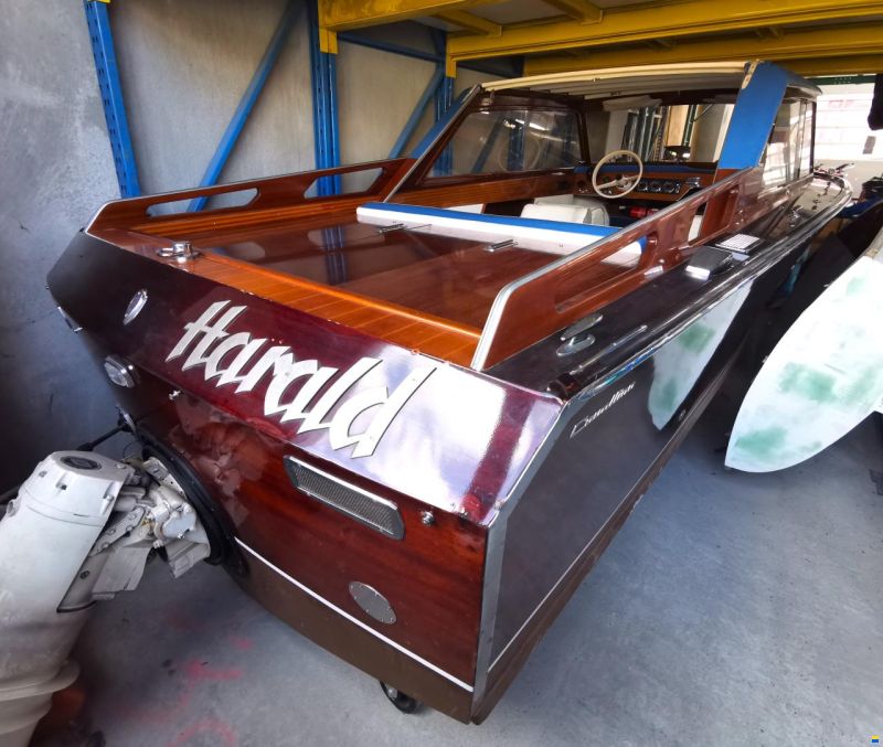 Pedrazzini Cavallino 580