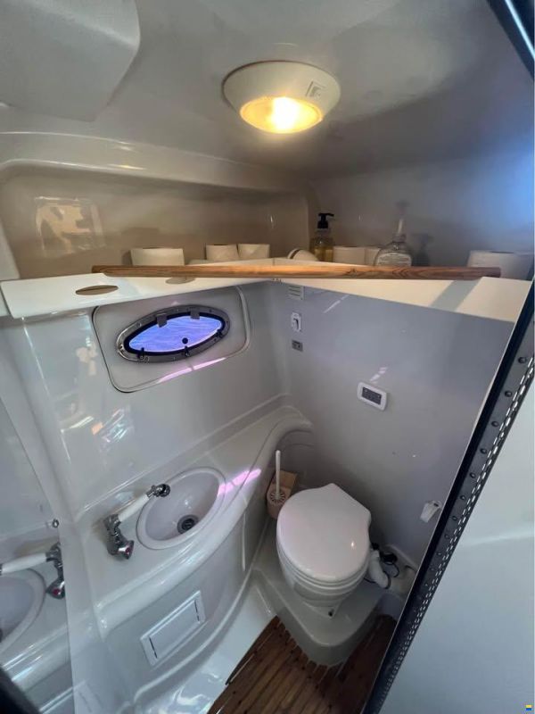 Crownline 270cr