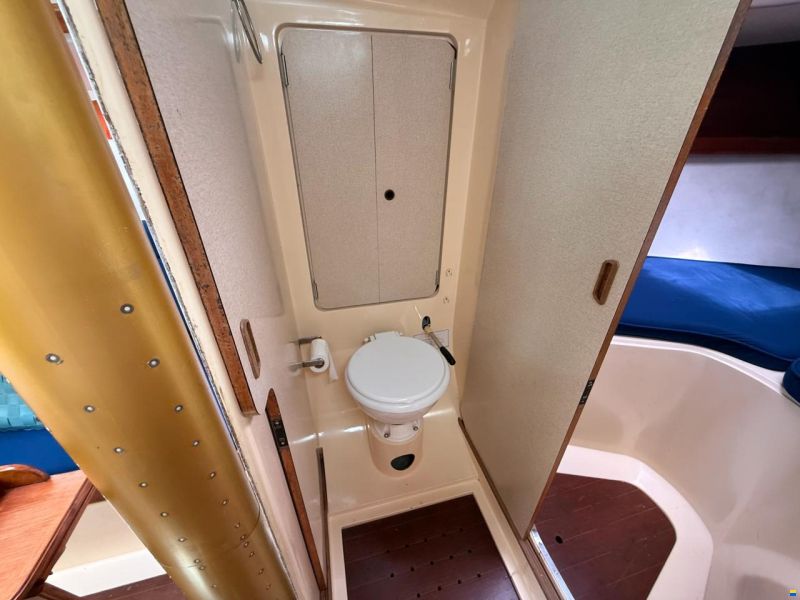 Camper & Nicholsons 31