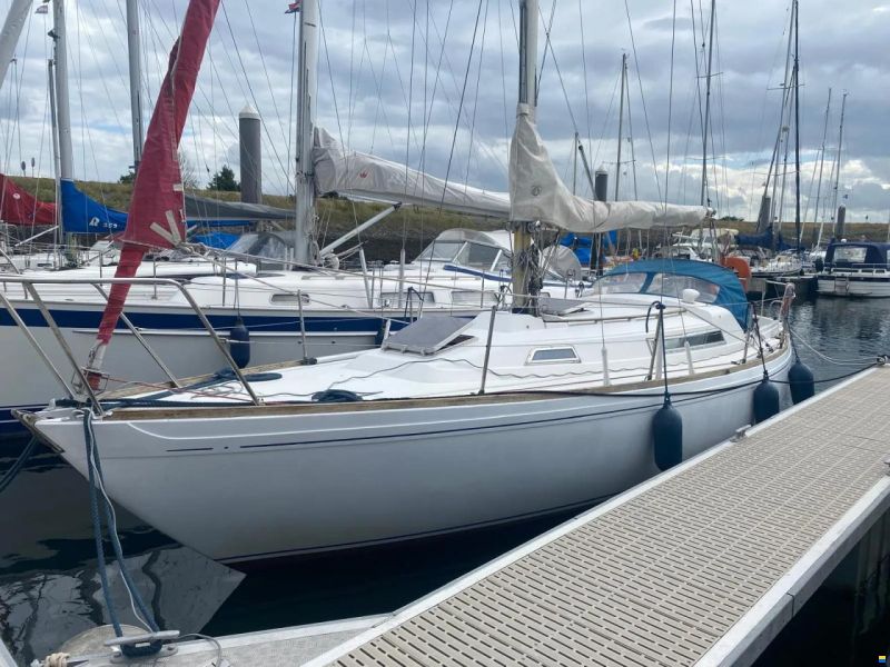 Camper & Nicholsons 31