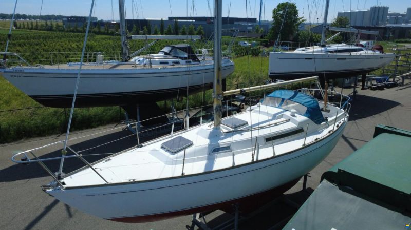 Camper & Nicholsons 31
