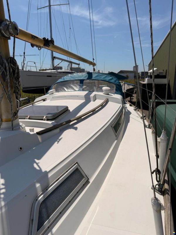 Camper & Nicholsons 31