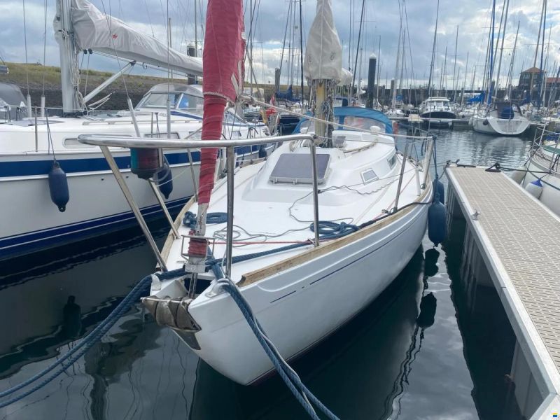Camper & Nicholsons 31