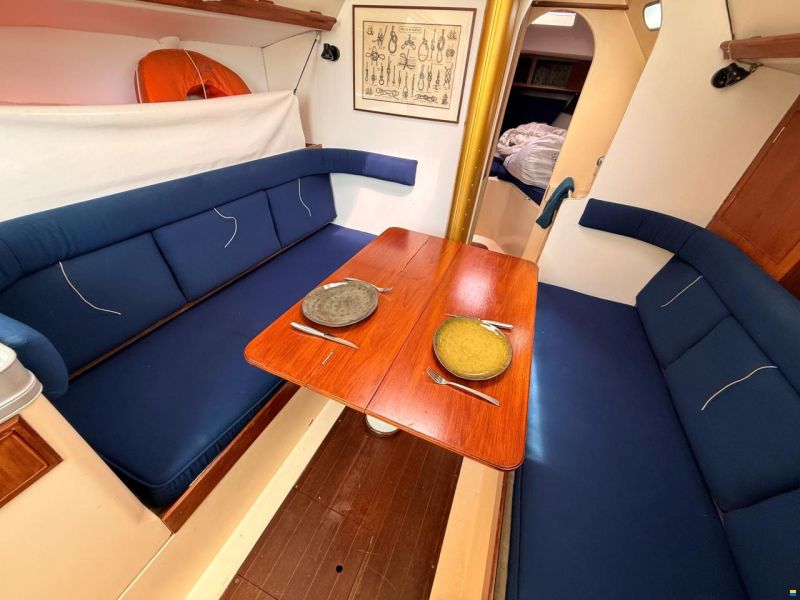 Camper & Nicholsons 31