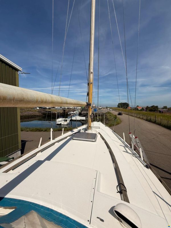 Camper & Nicholsons 31