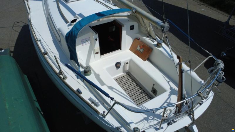 Camper & Nicholsons 31