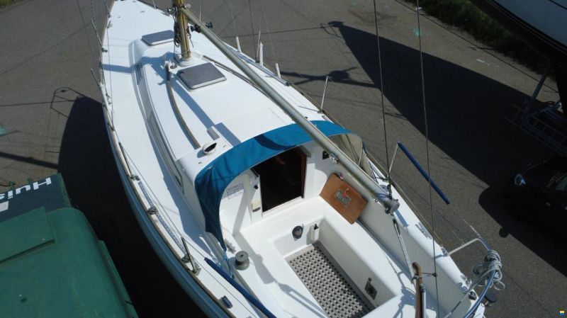 Camper & Nicholsons 31