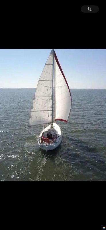 Camper & Nicholsons 31