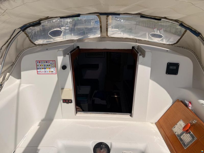 Camper & Nicholsons 31
