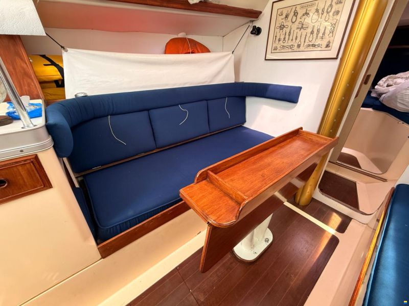 Camper & Nicholsons 31