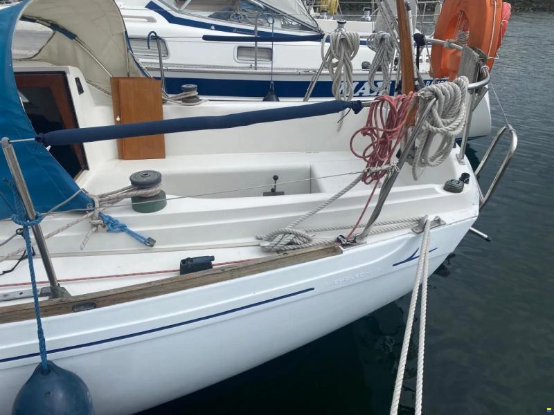 Camper & Nicholsons 31
