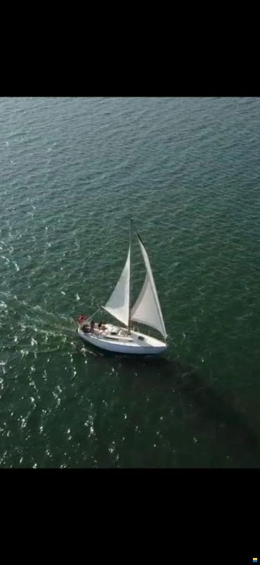 Camper & Nicholsons 31