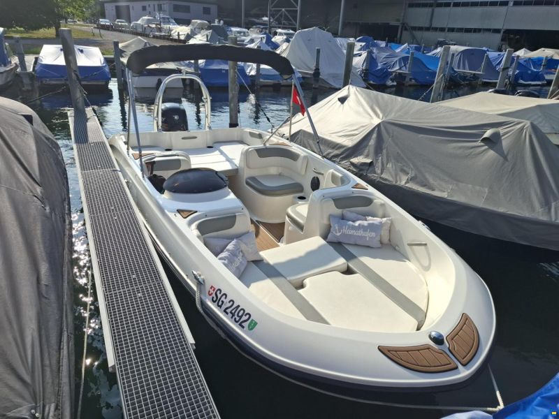 Bayliner Element XL / E6