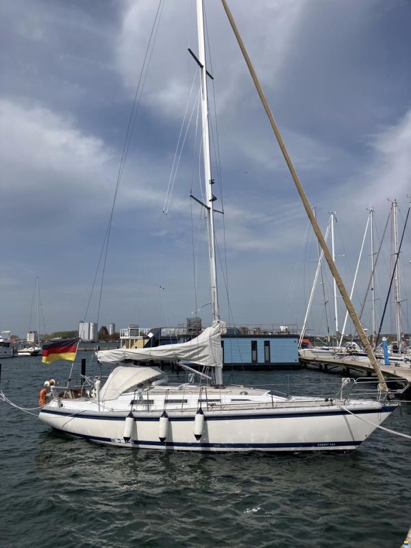 Hatecke Hornet 345
