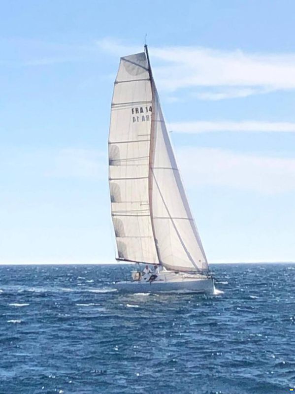 Pogo 40 S1