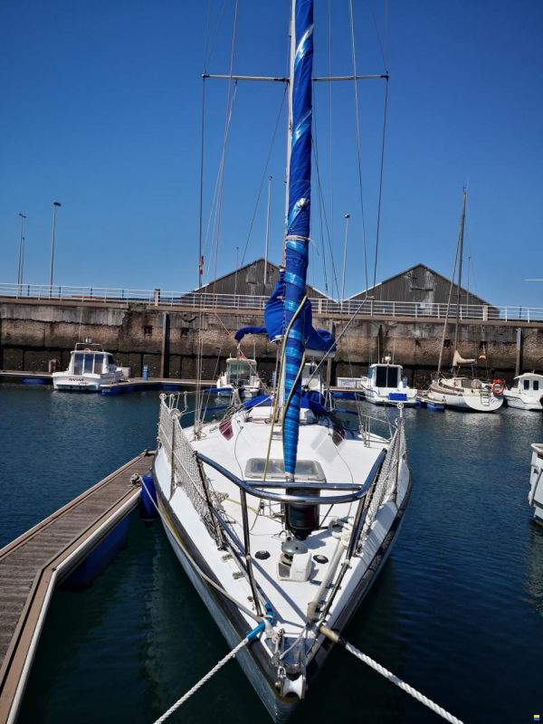 Noray 31