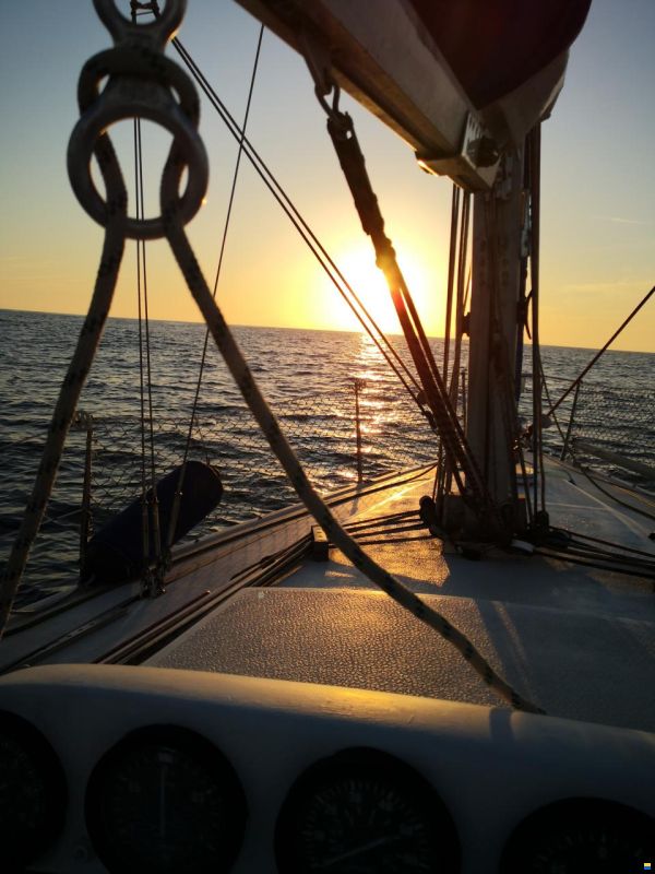 Noray 31