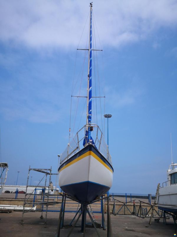 Noray 31