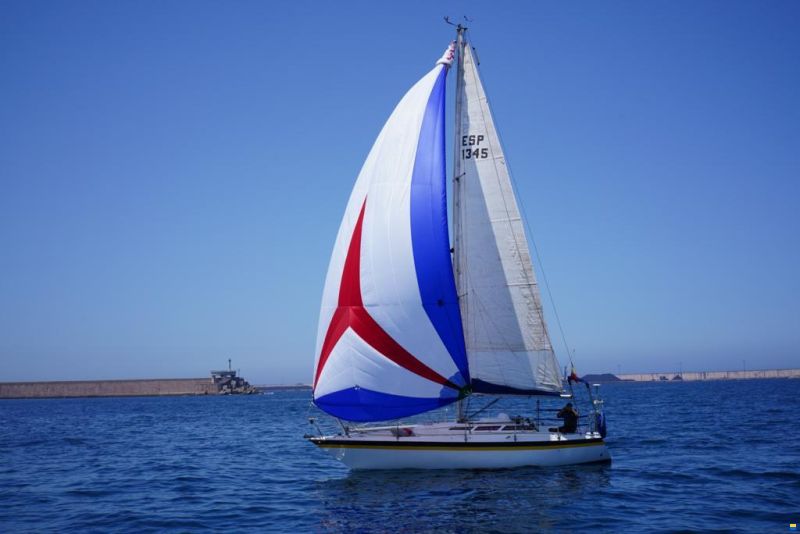 Noray 31