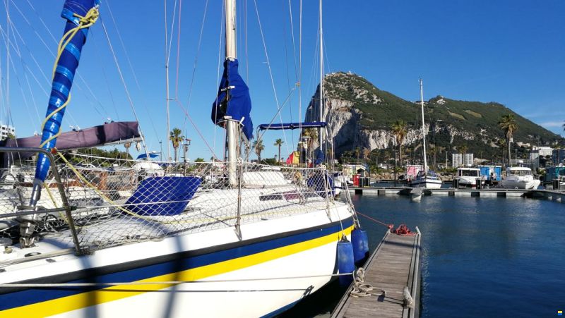 Noray 31