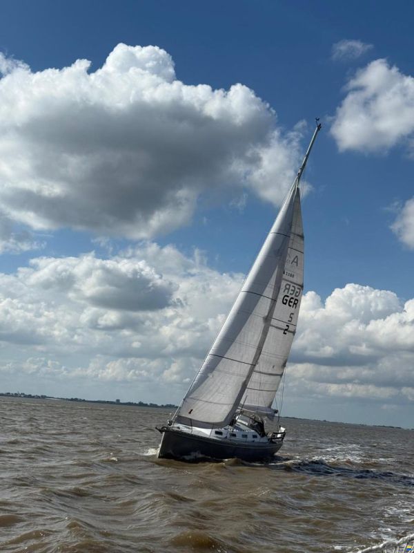 Asante 1100 Hubkiel