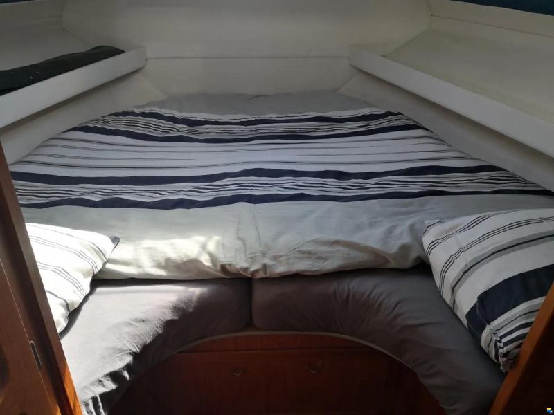 Fjord 310 Touring