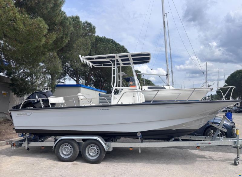 Boston Whaler Montauk 210