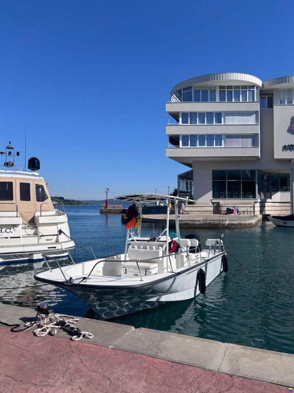 Boston Whaler Montauk 210