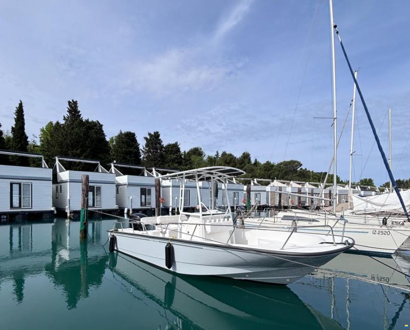 Boston Whaler Montauk 210