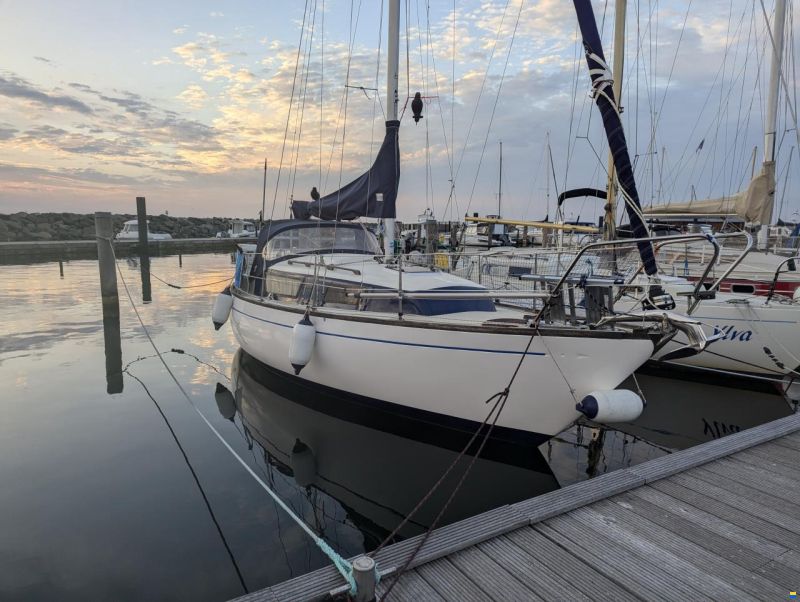 Sirius 26