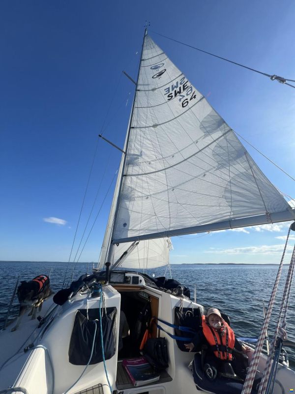 Elan 31
